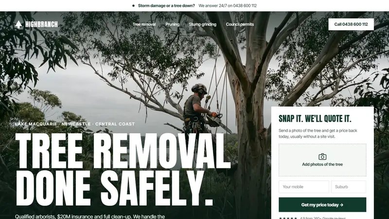 Concept website design for an arborist
